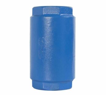 V?lvula check para columna FLOMATIC serie 80DI, construcci?n en hierro d?ctil, conexi?n 2″ NPT hembra-hembra, 400 psi 80DI2