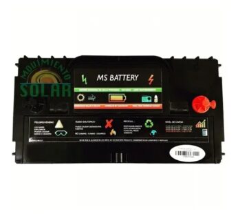Bater?a tipo Cale Solar o LTH Solar, cuanta con una capacidad de 120Ah @20 horas de descarga.- MS 31T
